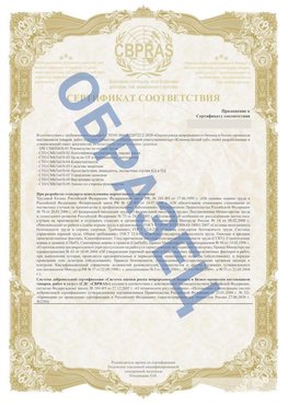 Образец Приложение к СТО 01.064.00220722.2-2020 Саки Сертификат СТО 01.064.00220722.2-2020 